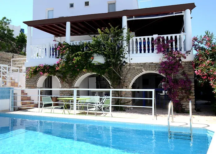 Ayisigi * גומבט