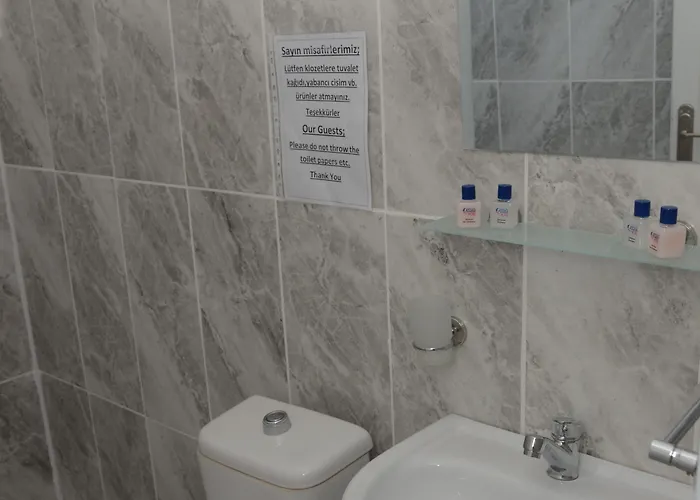 Ξενοδοχείο Ayisigi