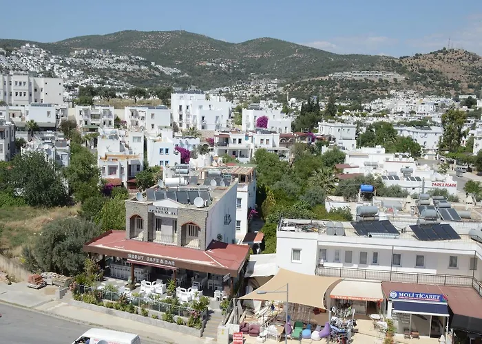 Ξενοδοχείο Ayisigi